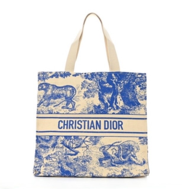 Christine Dior Gwp Tote New